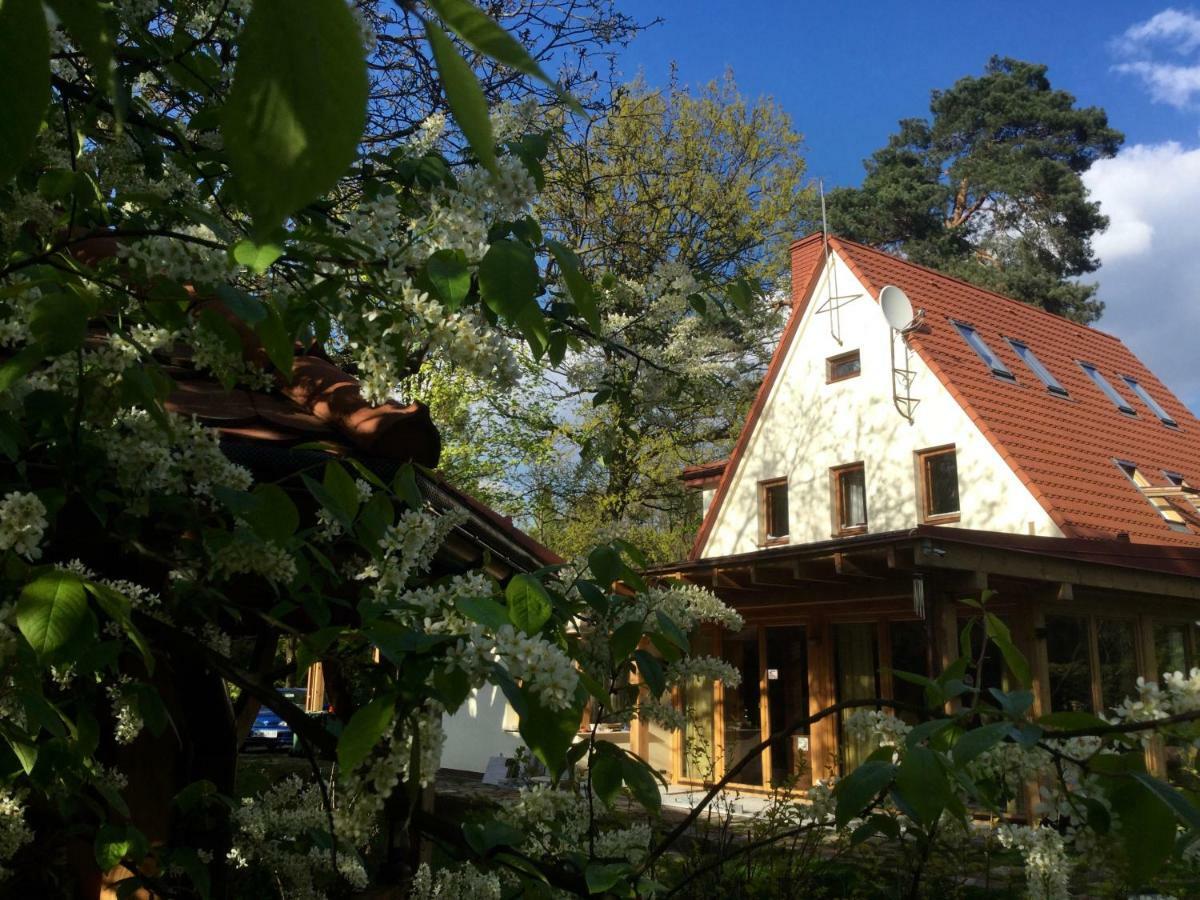 Willa Danusia Milanowek Exterior photo